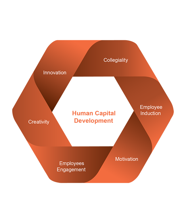 Human Capital Development